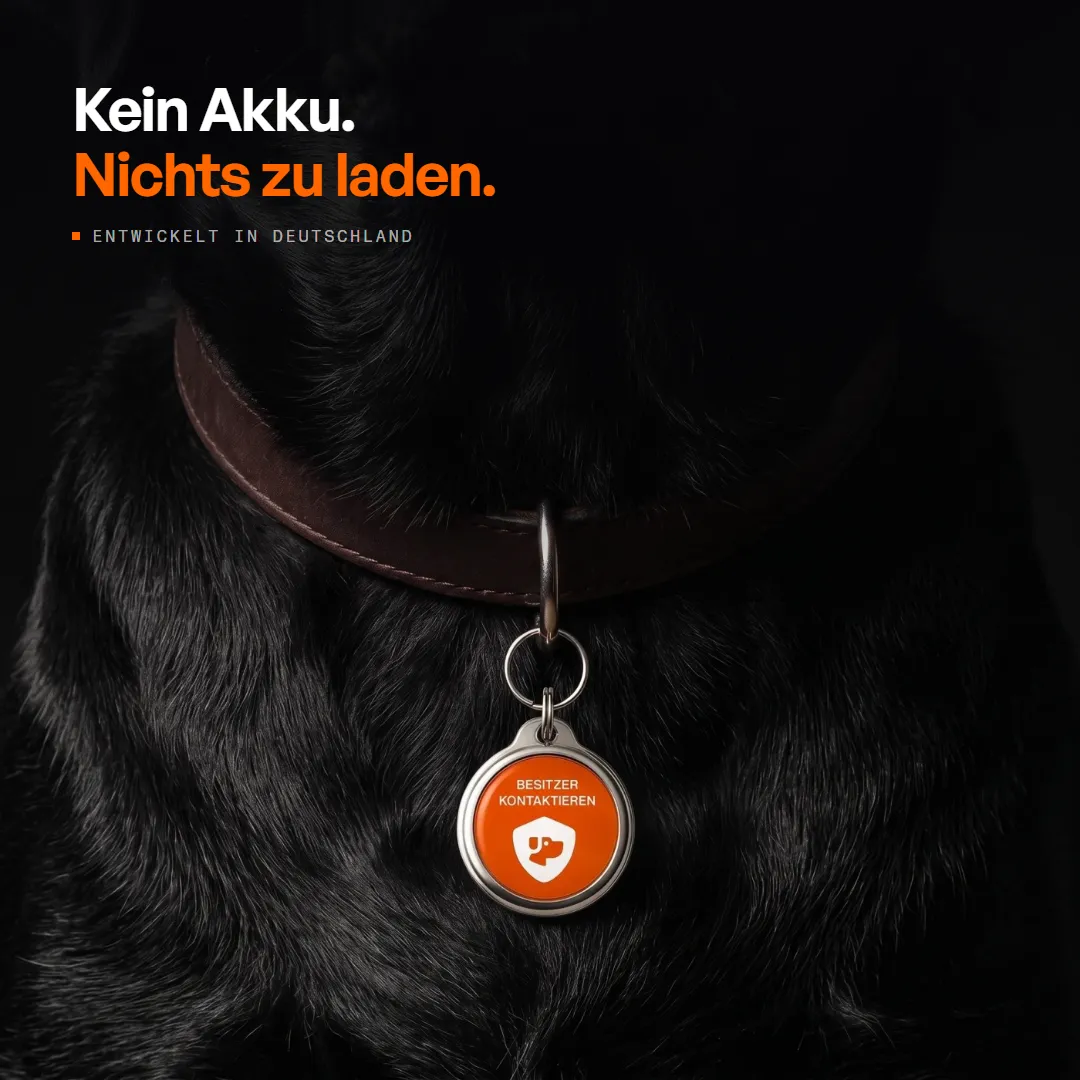 PetID — Digitale Hundemarke & Katzenmarke mit QR-Code, Produktbild 10