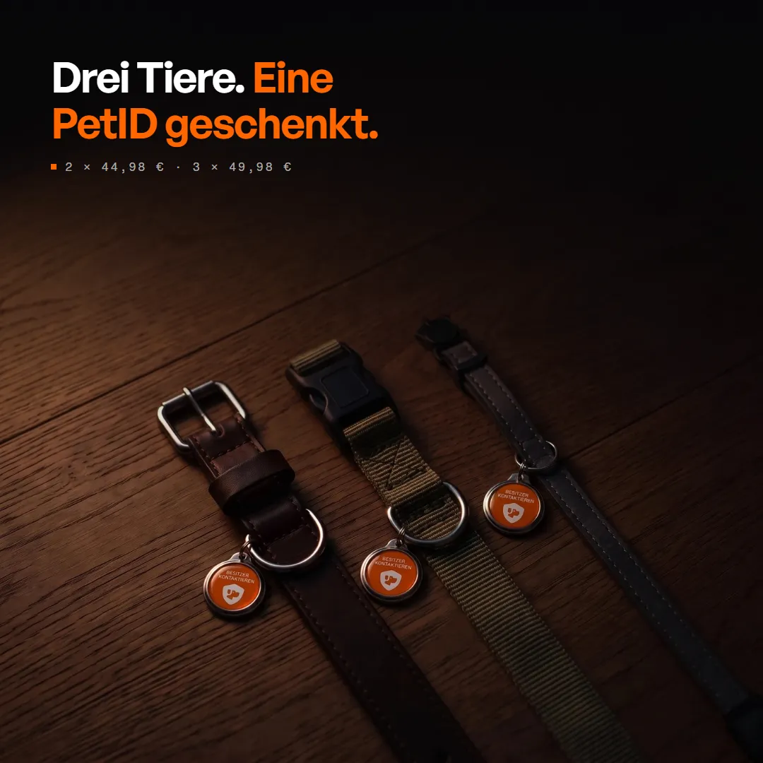 PetID — Digitale Hundemarke & Katzenmarke mit QR-Code, Produktbild 11